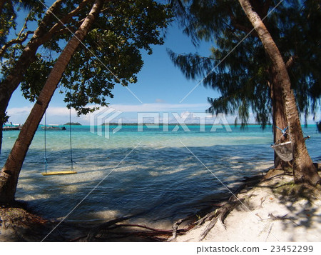 Shallow seas and islands with beautiful gradations of hammocks and swings and blue on Palau-Karp trees Shallow seas and islands with beautiful gradations of hammocks and swings and blue on Palau-Karp trees 23452299