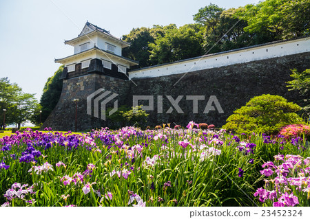 Omura Park Hana shio 23452324