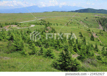 Summer of the Mihagahara Plateau 23452927