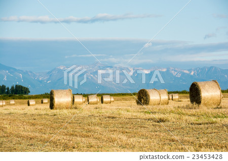 Mountain ranges of grass rolls and snowfall 23453428