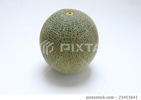 高見甜瓜 高見甜瓜 23453641