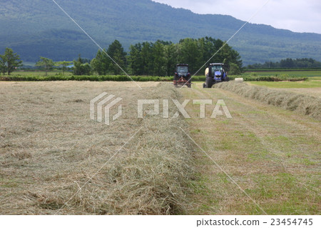 俱知安町北海道牧場 俱知安町北海道牧場 23454745