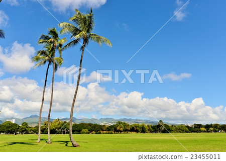 Holidays in Hawaii Holidays in Hawaii 23455011