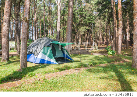 Dome tent camping in forest Dome tent camping in forest 23456915