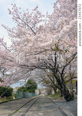 春天來了 23457072