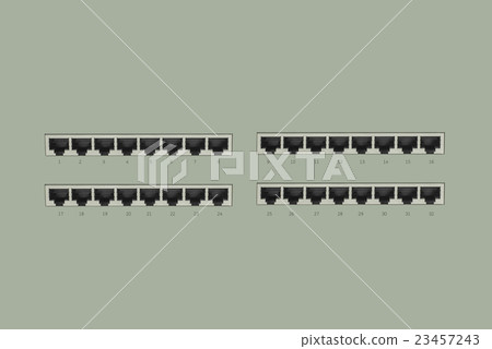 Network switch ports for connect LAN 23457243