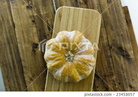 pumpkin pumpkin 23458057