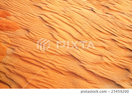 Texture of sand dune in desert 23459200
