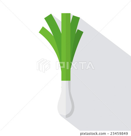 Leek Flat Design Vector Illustration. Leek Flat Design Vector Illustration. 23459849