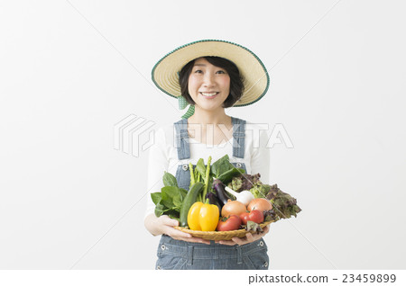 新鮮蔬菜蔬菜的女人直接送到原產地 23459899