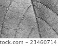 black and white texture more noise leaf pattern 23460714