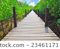 Wooden walkways in mangrove forest 23461171
