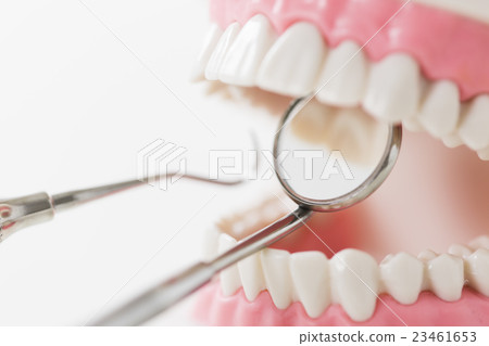 Dental dental dental care medical tooth dentist dentist dental clinic toothbrush tooth decay prevention Dental dental dental care medical tooth dentist dentist dental clinic toothbrush tooth decay prevention 23461653