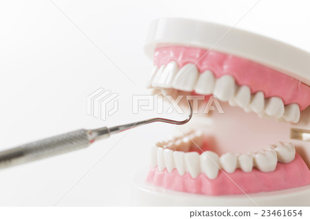 Dental dental dental care medical tooth dentist dentist dental clinic toothbrush tooth decay prevention 23461654