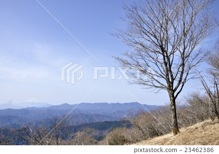 Tree stand of Takanosan and Mt. Fuji and Lord Bodhisattva 23462386