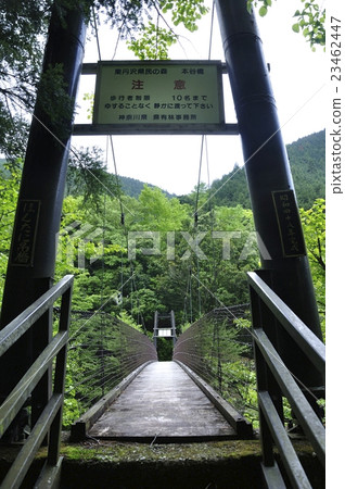 Mountain Suspension Bridge Mountain Suspension Bridge 23462447