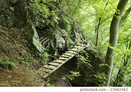 Old wood bridge 23462462