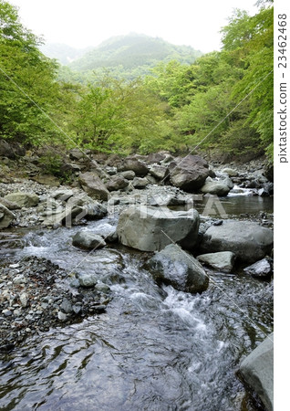 在新鮮的綠色Hidogawa河上游的山霧的Tanzawa山 23462468