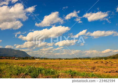 Landscape Landscape 23462594
