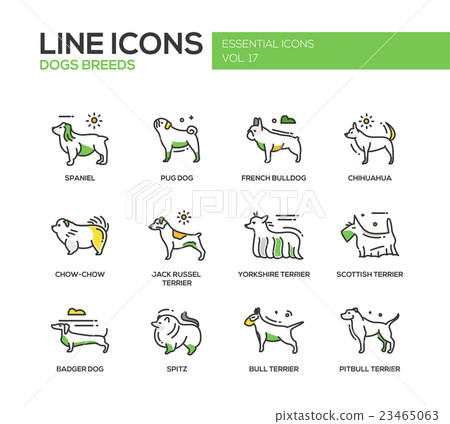 Dog breeds - line design icons set 23465063