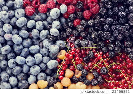 Fresh berries assortment Fresh berries assortment 23466821