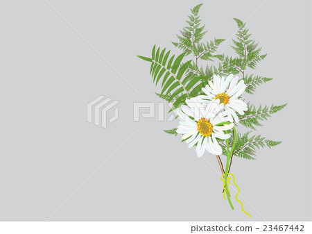 white daisy flowers bouquet with fern and jasmine  23467442
