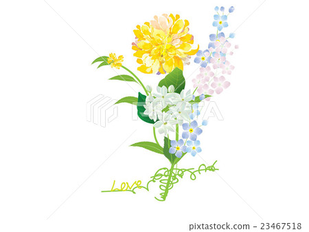 dahlia flowers bouquet with jasmine and fern dahlia flowers bouquet with jasmine and fern 23467518