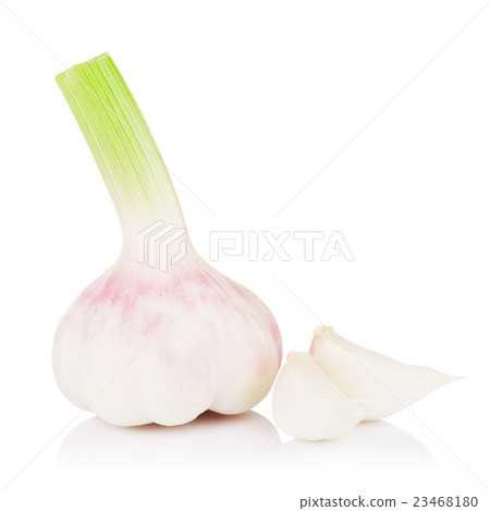 Fresh Young Garlic 23468180