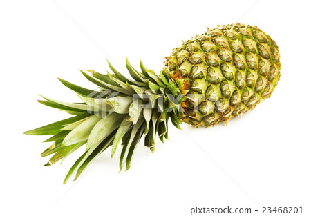 Fresh Green Pineapple Fresh Green Pineapple 23468201