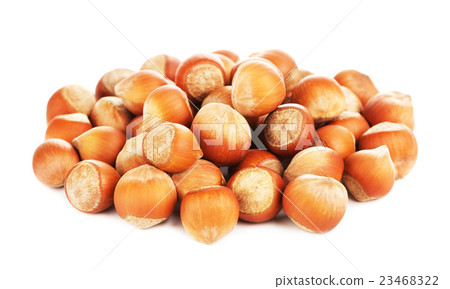 Hazelnuts In A Shell 23468322