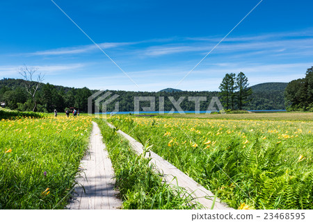 Ozoe Oi ___ miyuhara nigokkisge giant group 23468595