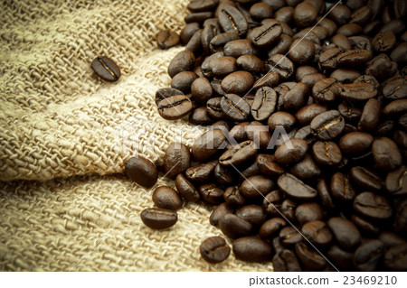 roasted coffee beans 23469210
