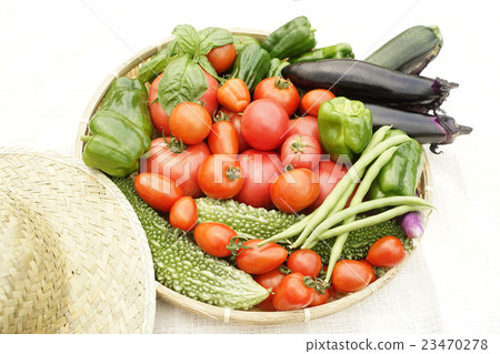 夏季蔬菜豐收 23470278