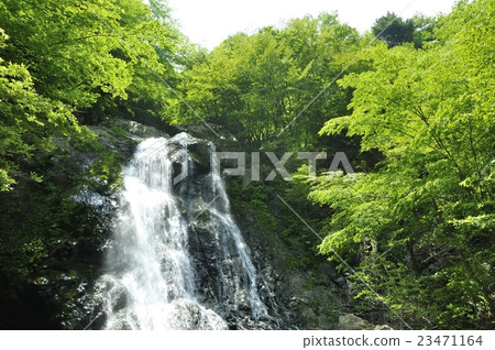 Lightning Falls 23471164