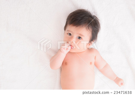 嬰兒 23471638