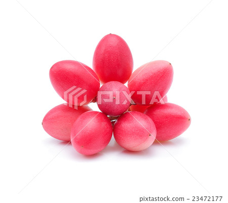 Carunda or Karonda isolate on white background 23472177