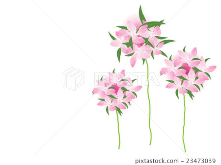 bouquet flower pink in round bouquet flower pink in round 23473039