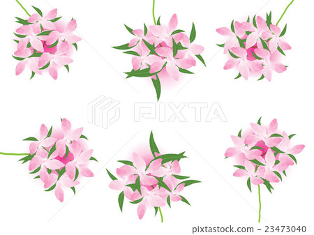 pink flower ball design isolated pink flower ball design isolated 23473040