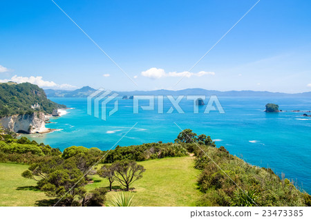Cathedral Cove in Coromandel Peninsula 23473385