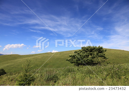 Kirigamine Highlands Kirigamine Highlands 23473432