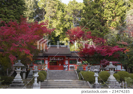 Ohgara神社在秋天 23474285