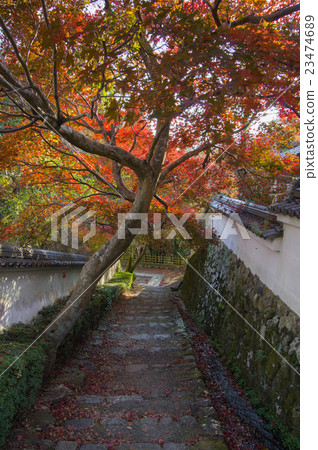 Katsura寺廟在秋天 Katsura寺廟在秋天 23474689