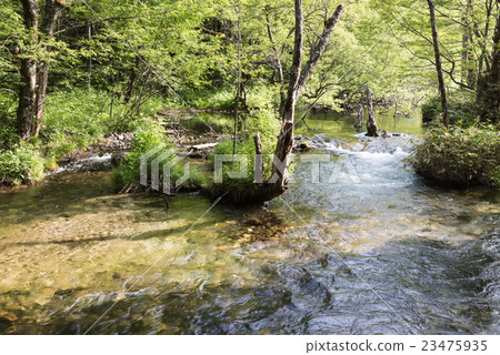 Azusagawa支流 23475935