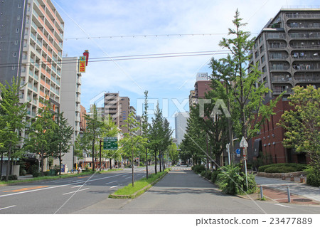 Northern Muscle in the morning / Nishi-ku, Osaka-shi, Osaka 23477889