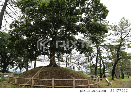 在雨Nishikida Iriyatsuka的箱根老路 在雨Nishikida Iriyatsuka的箱根老路 23477932