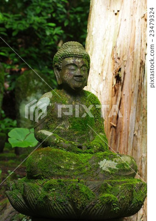 Shinshu's cultural asset masterpiece Moriya Sadaharu's stone Buddha Amida Buddha statue Right overlooking vertical (Komagane shi Kohamasa) Shinshu's cultural asset masterpiece Moriya Sadaharu's stone Buddha Amida Buddha statue Right overlooking vertical (Komagane shi Kohamasa) 23479324