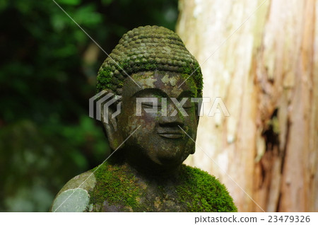Shinshu's cultural asset masterpiece Moriya Sadaharu stone Buddha Amida Buddha statue Horizontal head (Komagane shi Kohamasa) 23479326