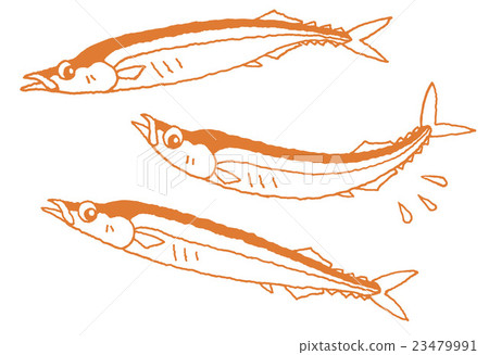 秋刀魚 23479991