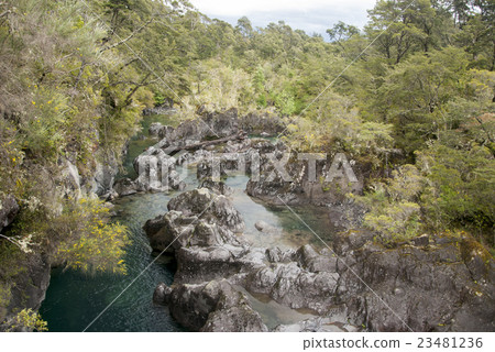 View of Vicente Perez Rosales National Park -Chile 23481236