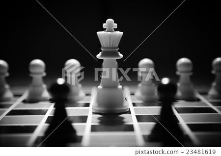chess piece chess piece 23481619